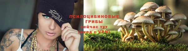 эйфоретик Володарск