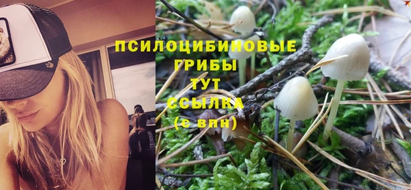 соль ск Волоколамск